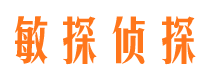 西峡市侦探调查公司